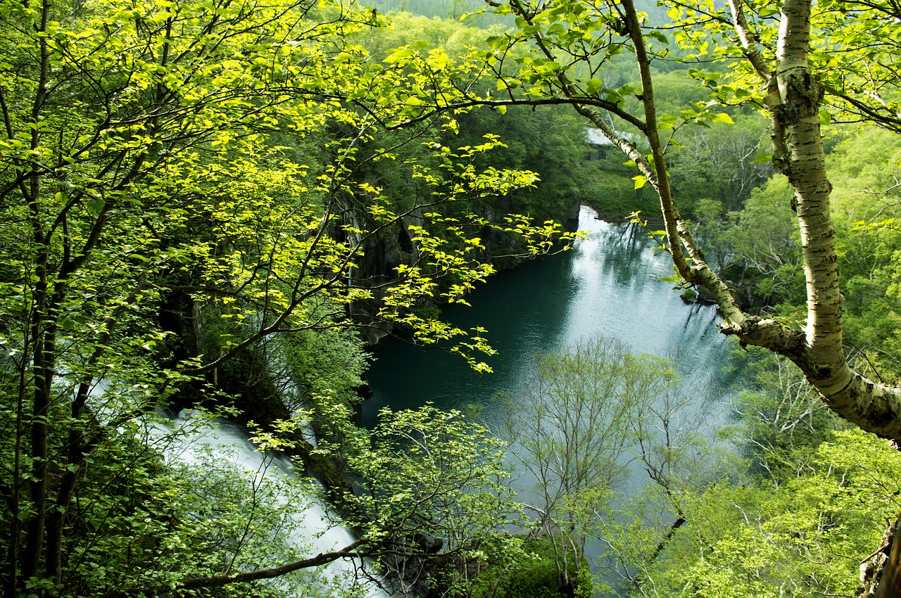 Image - green deep lake green water aoyama