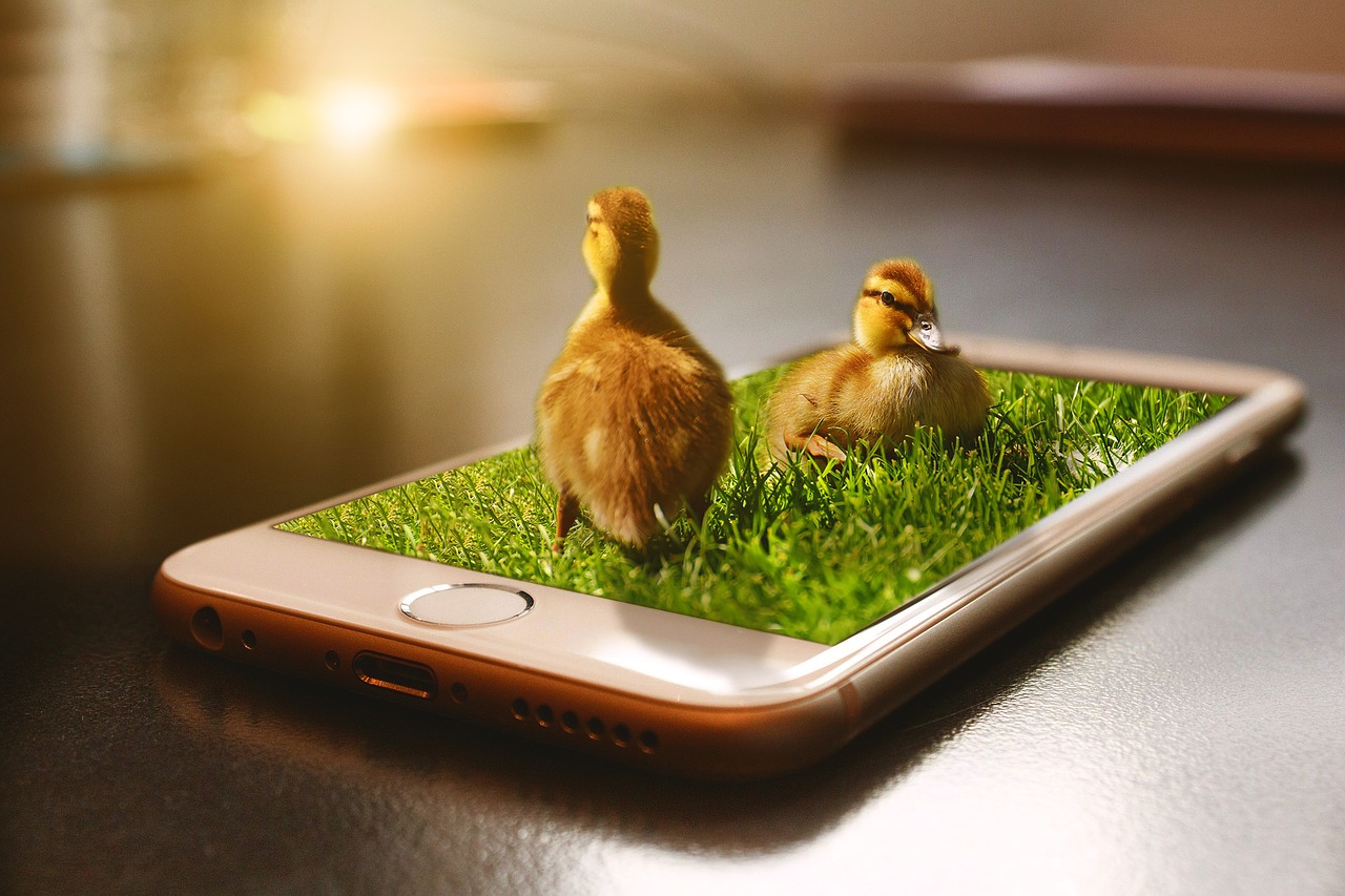 Image - duckling phone 3dmanipulation apple