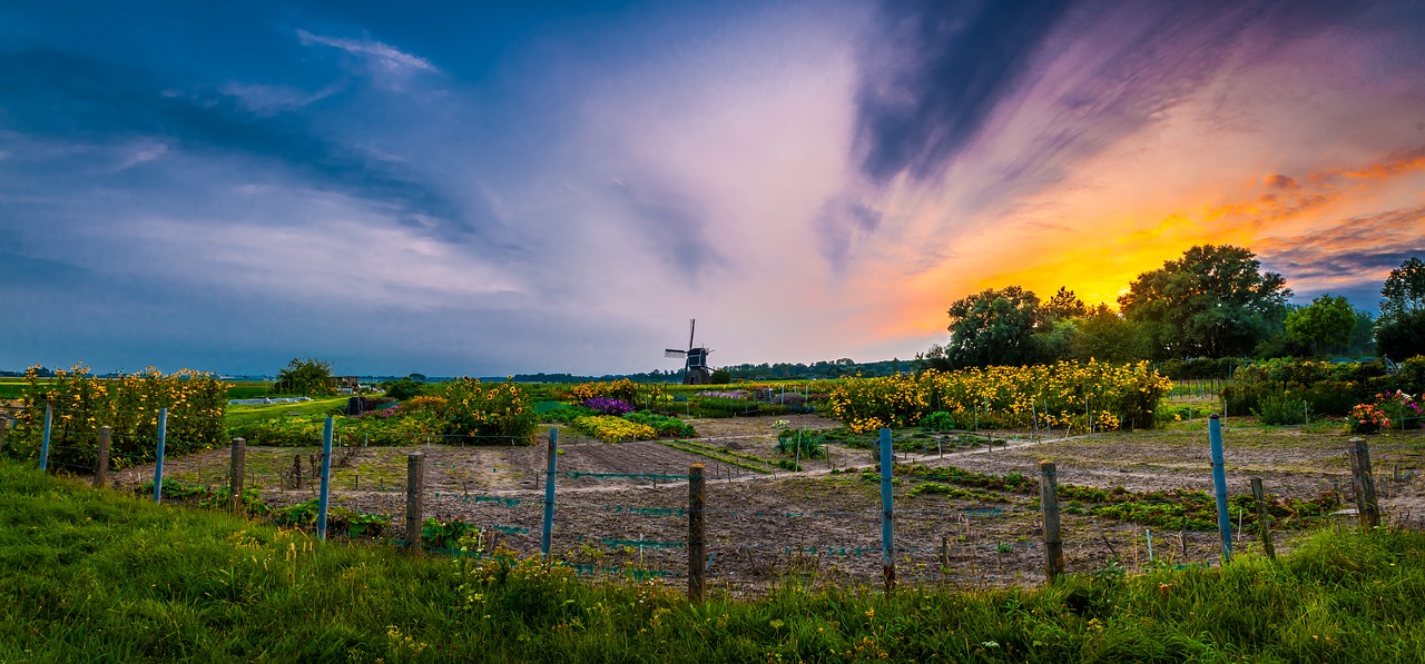 Image - mill evening wind mill sunset