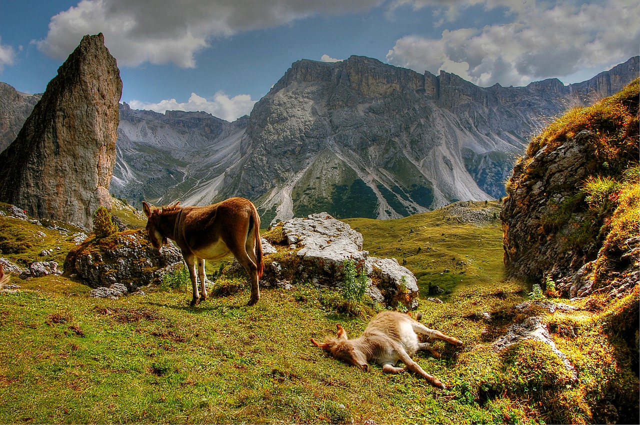 Image - dolomites val gardena nature