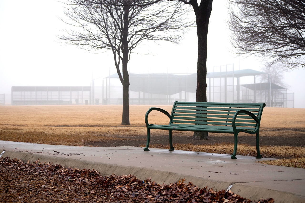 Image - bench park fog early outdoors