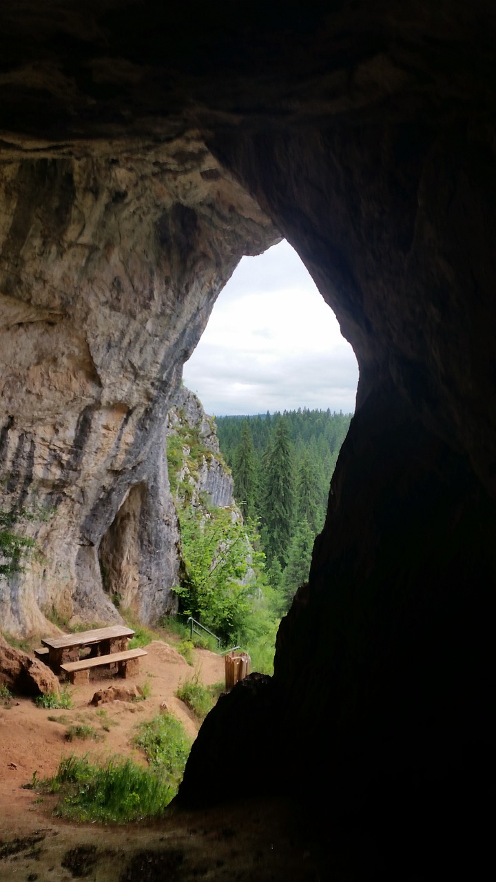 Image - cave wood nature entrance cavern