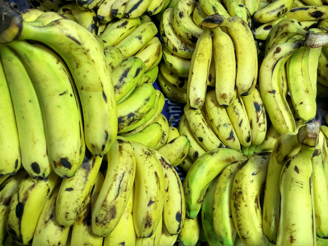 Image - bananas musa basjoo fruits