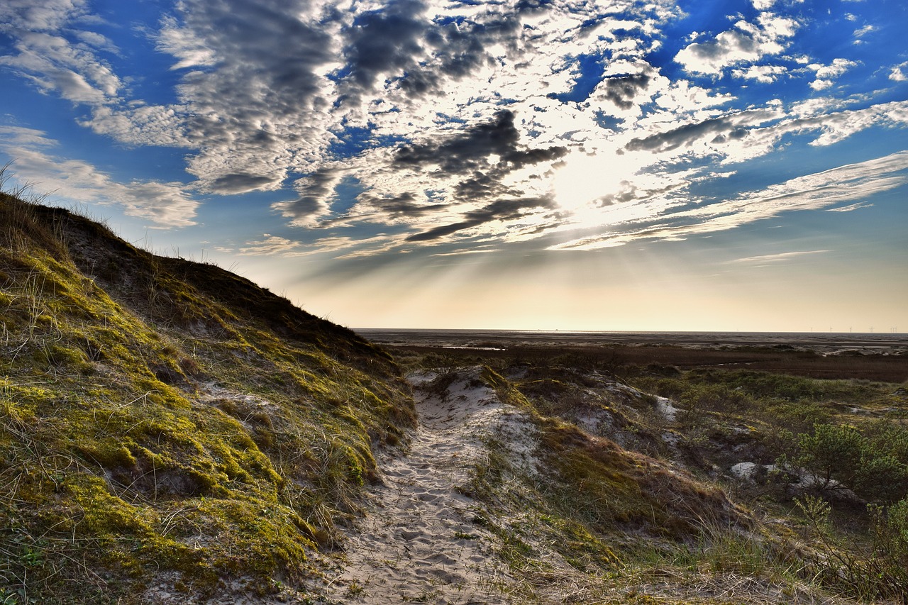 Image - borkum evening dunes by the sea