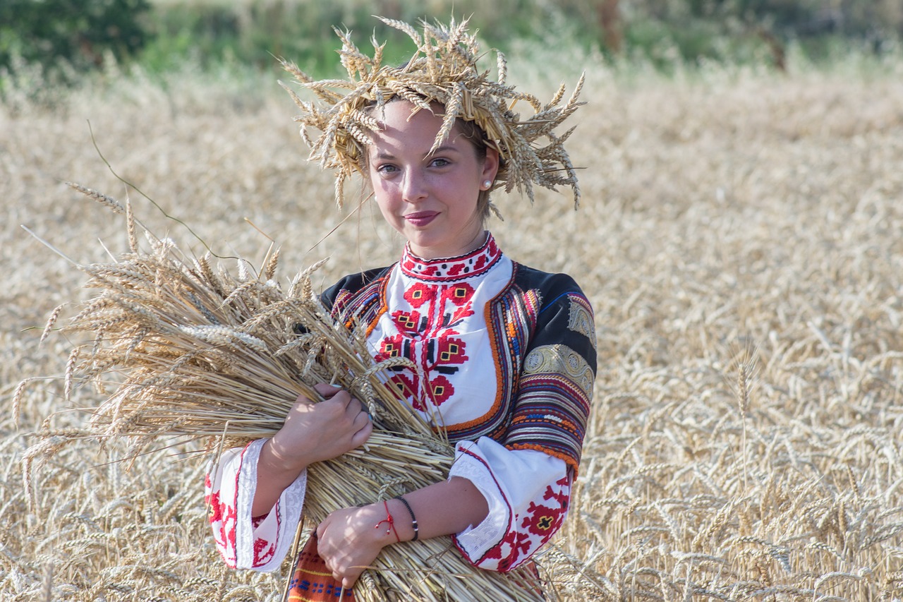 Image - harvest summer nature food