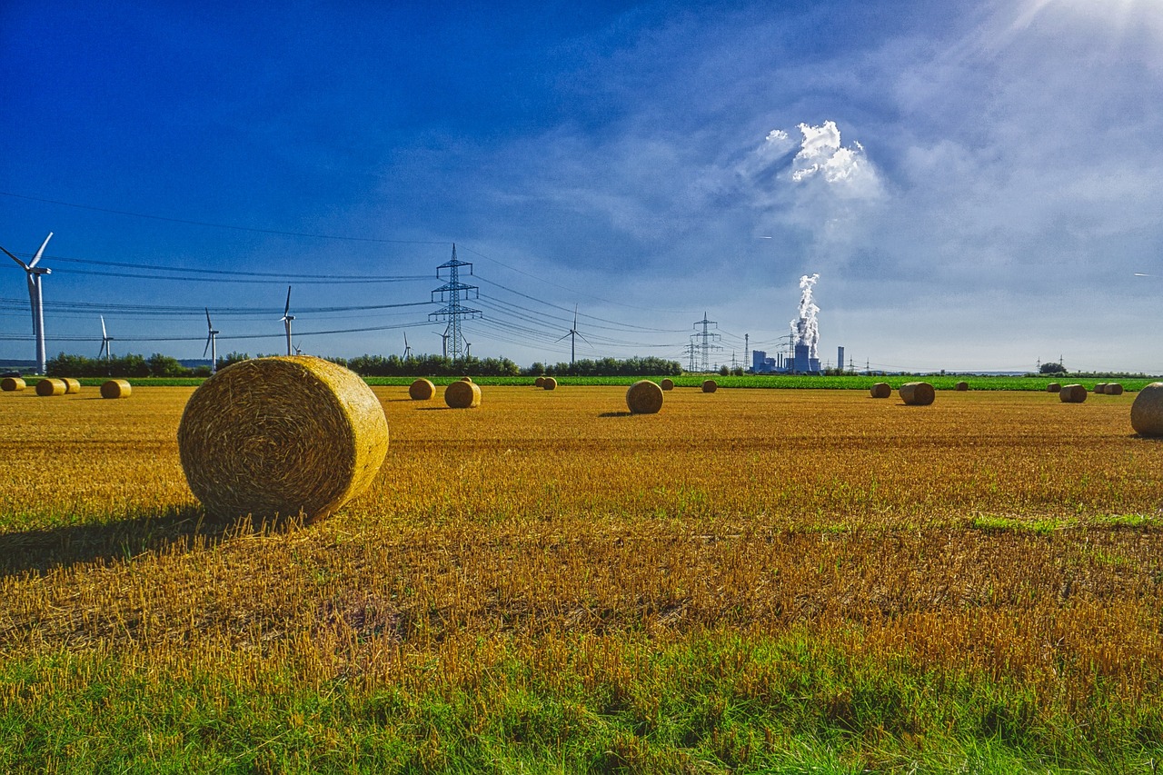 Image - autumn straw agriculture field