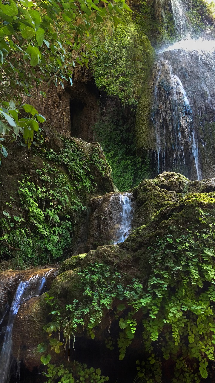 Image - fountain of life