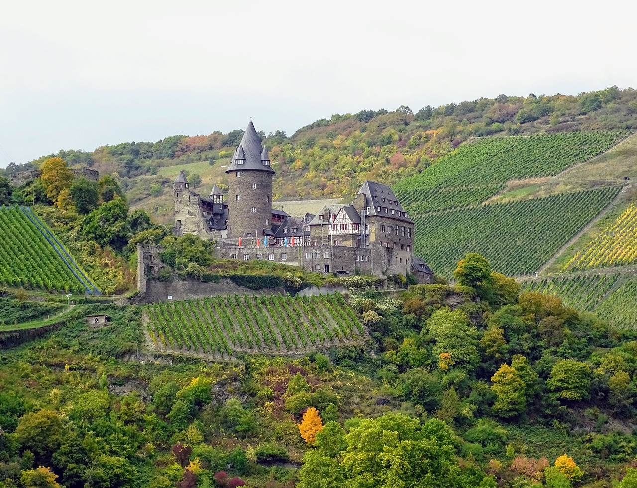 Image - mosel castle vineyards nature