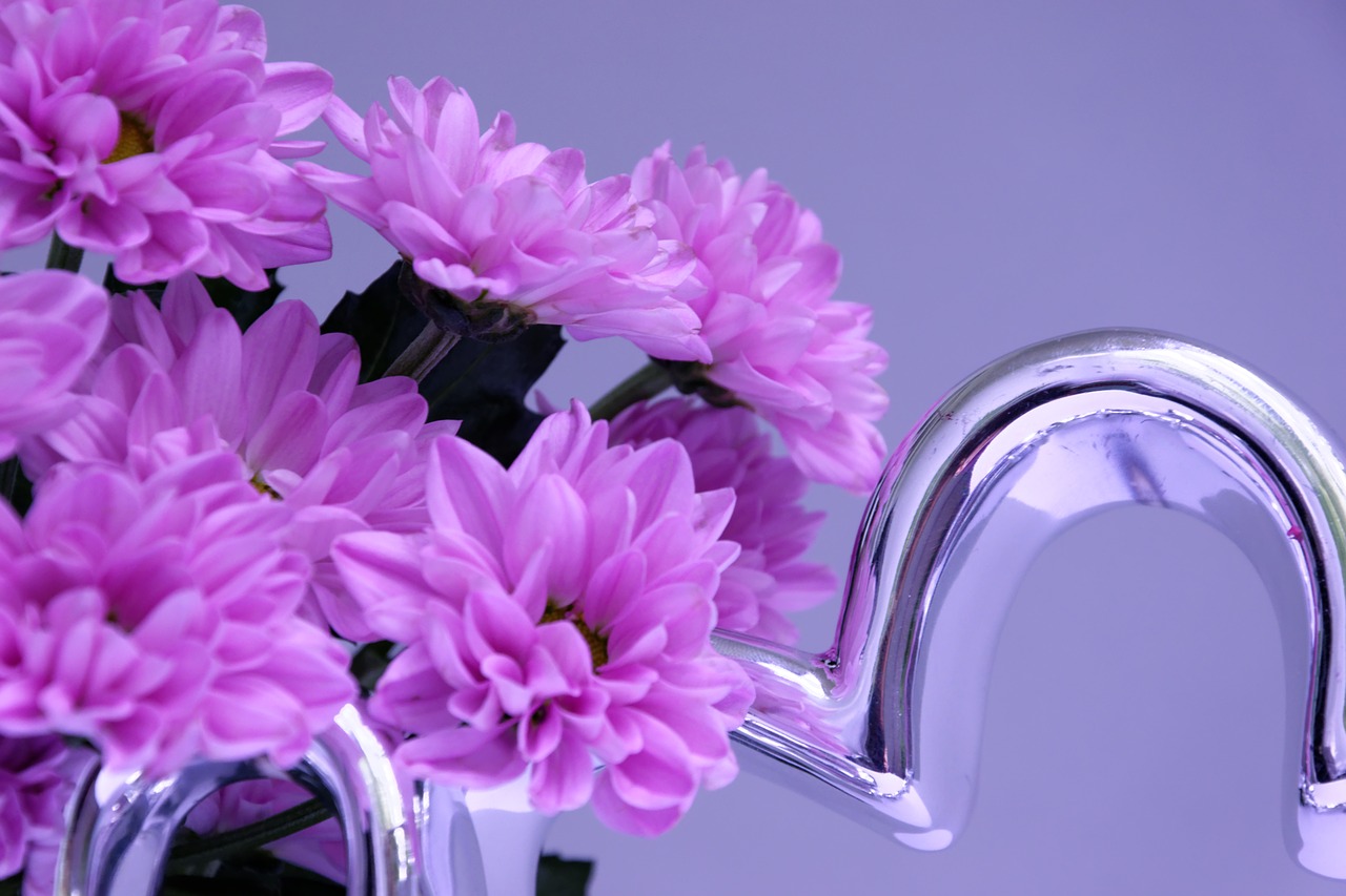 Image - flower deco flowers purple tender