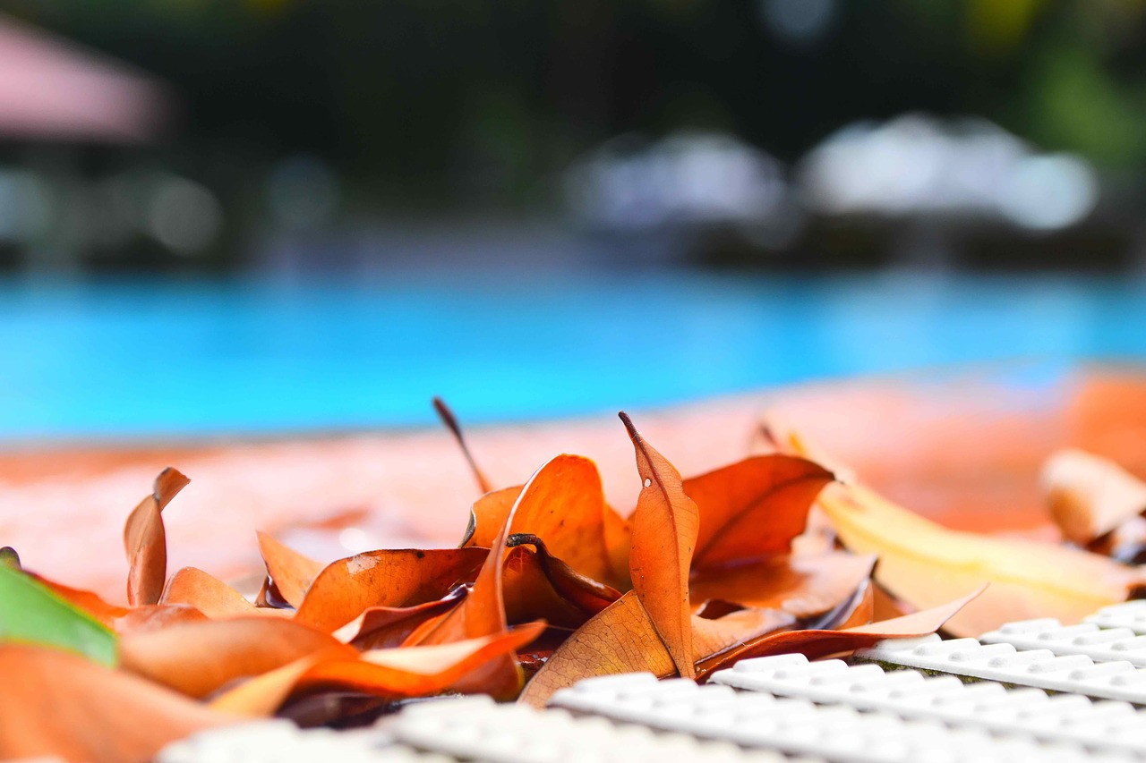 Image - swimming pool leaves pool swimming