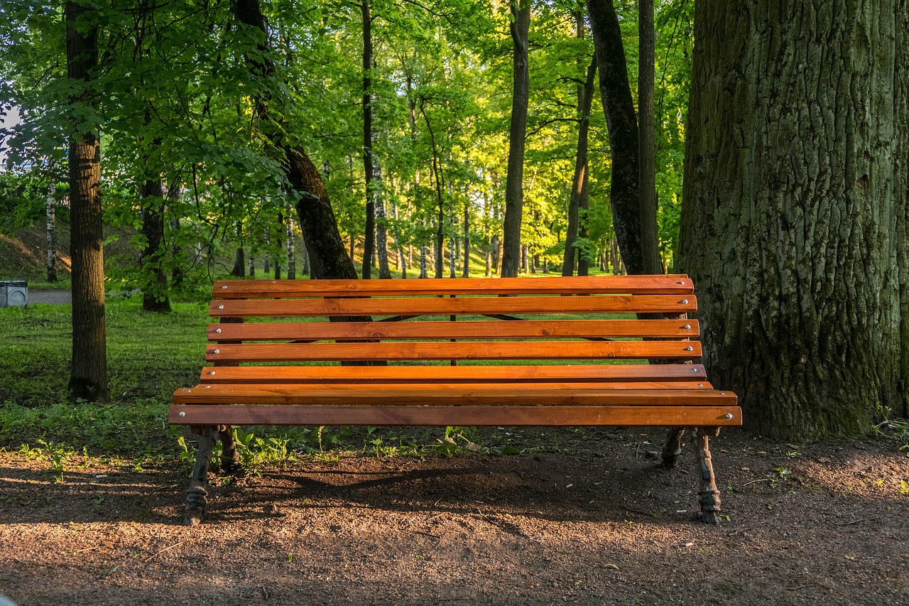 Image - bench park evening progulka