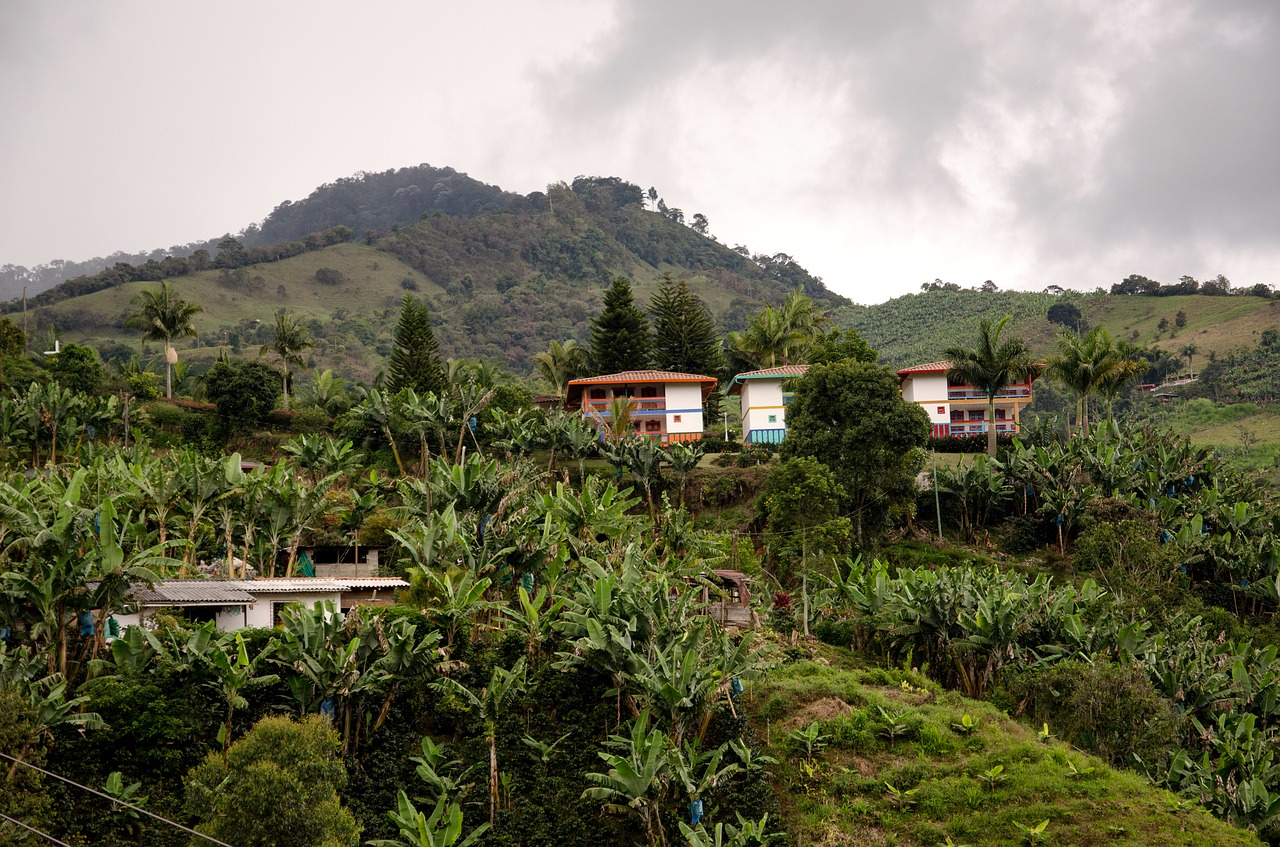 Image - colombia jardin coffee zone coffee