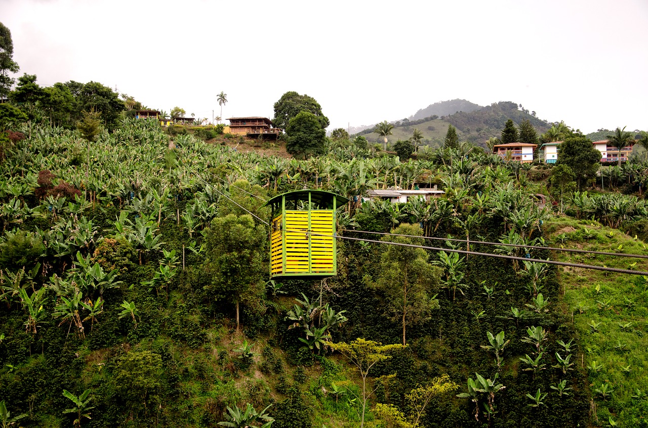 Image - colombia jardin coffee zone coffee