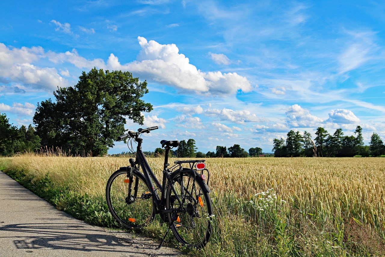 Image - summer bike bike ride bike trip