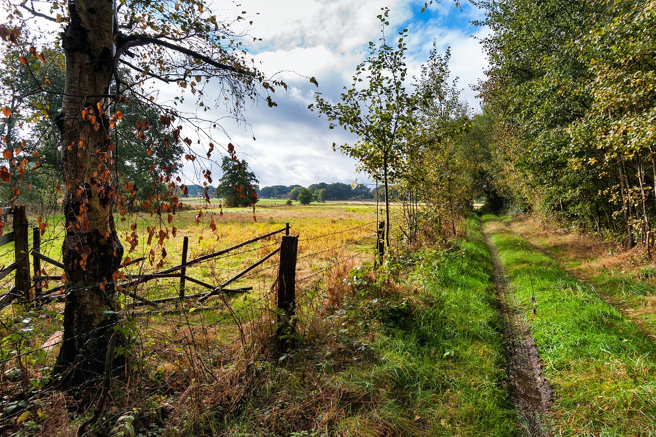 Image - lane autumn landscape north