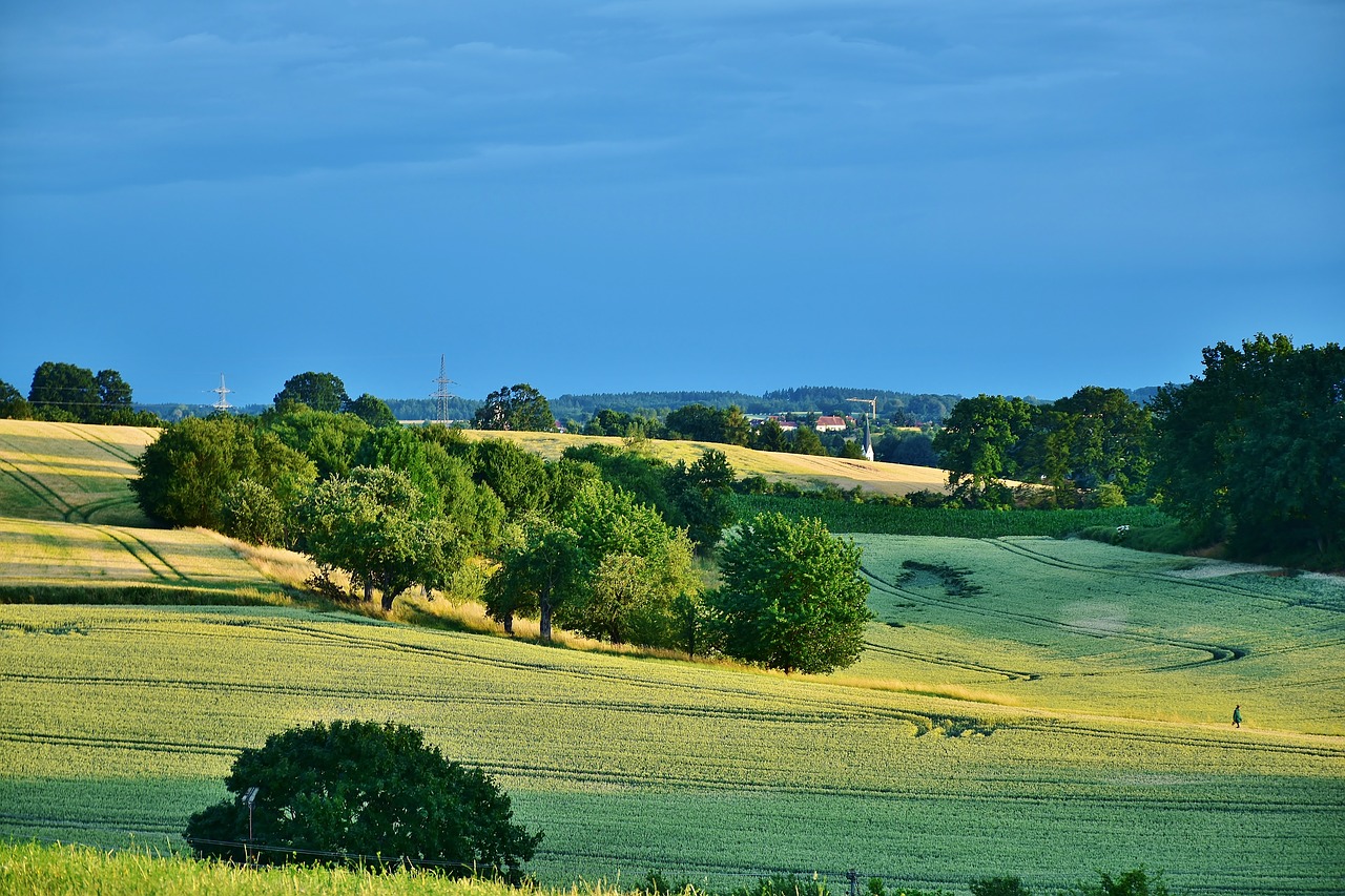 Image - landscape twilight field cereals