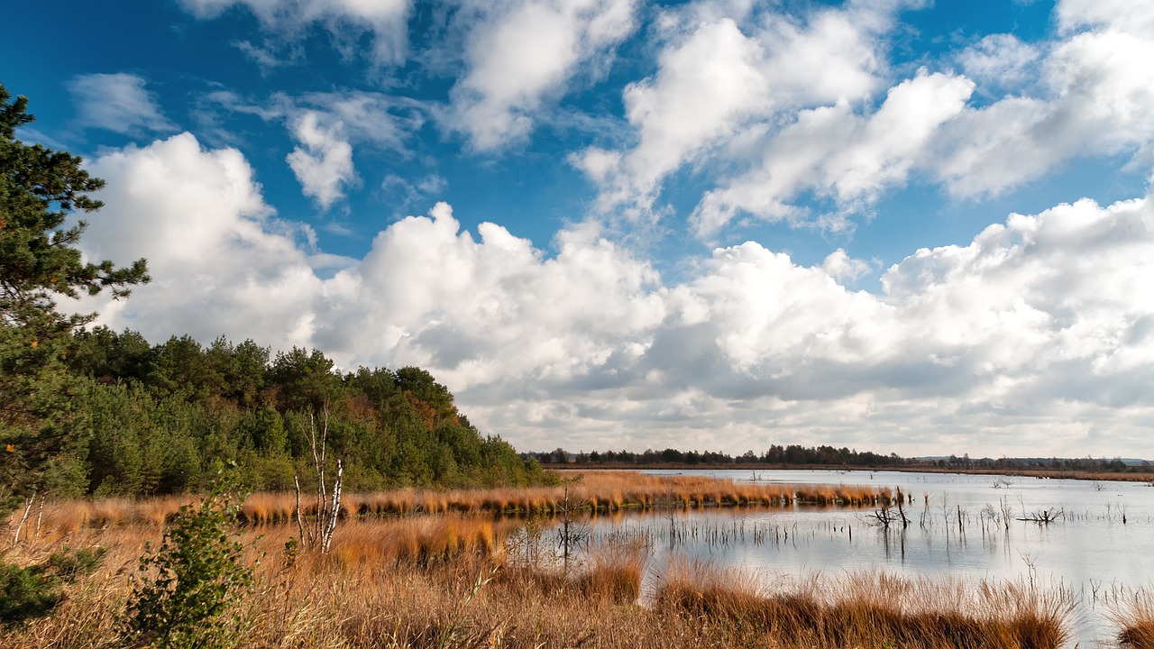 Image - teufelsmoor north germany water