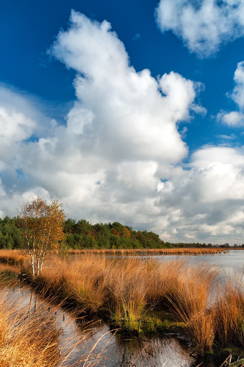 Image - teufelsmoor north germany water