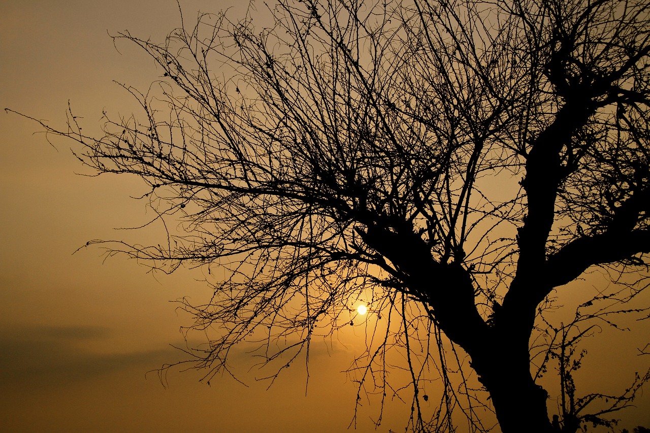 Image - sunset natural jogja nature sun