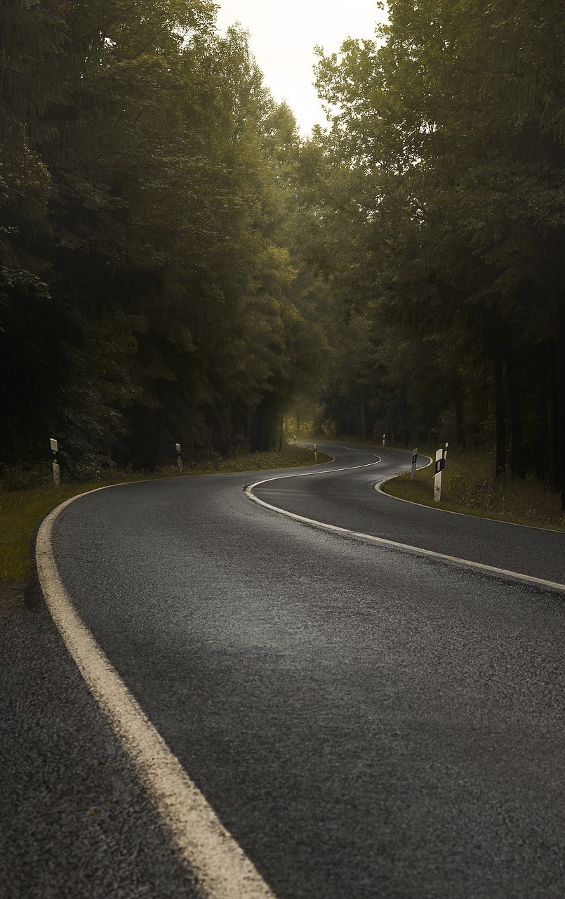 Image - road forest fog curve trees