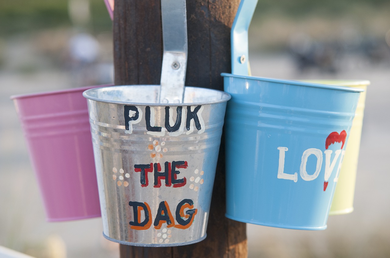 Image - bucket quote carpe diem beach