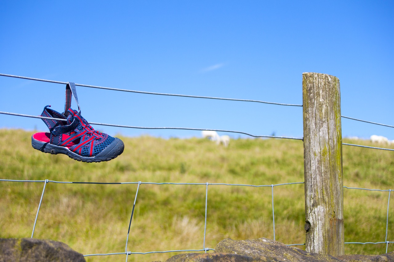 Image - shoe lost footwear field summer