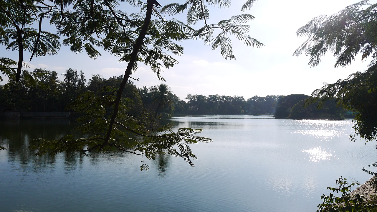 Image - bangalore lake winter