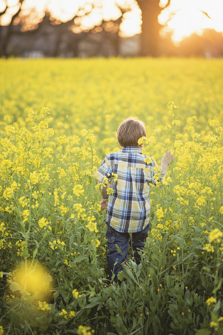 Image - boy yellow flowers kid