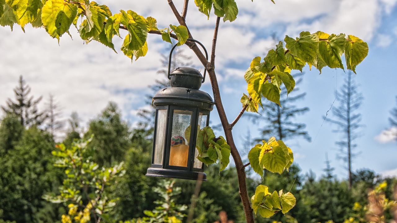 Image - lantern tree memorial site