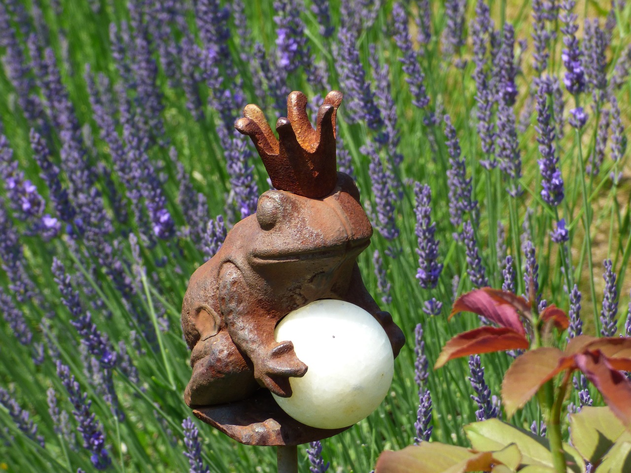 Image - frog lavender frog prince purple