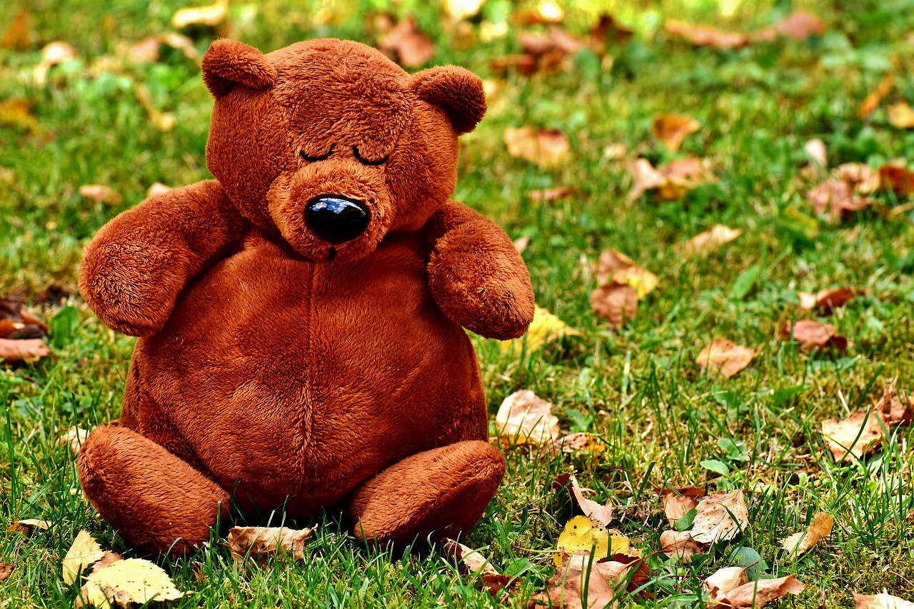 Image - teddy cute sleep soft toy