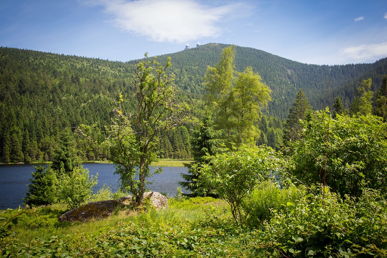 Image - arber kleiner arbersee bergsee