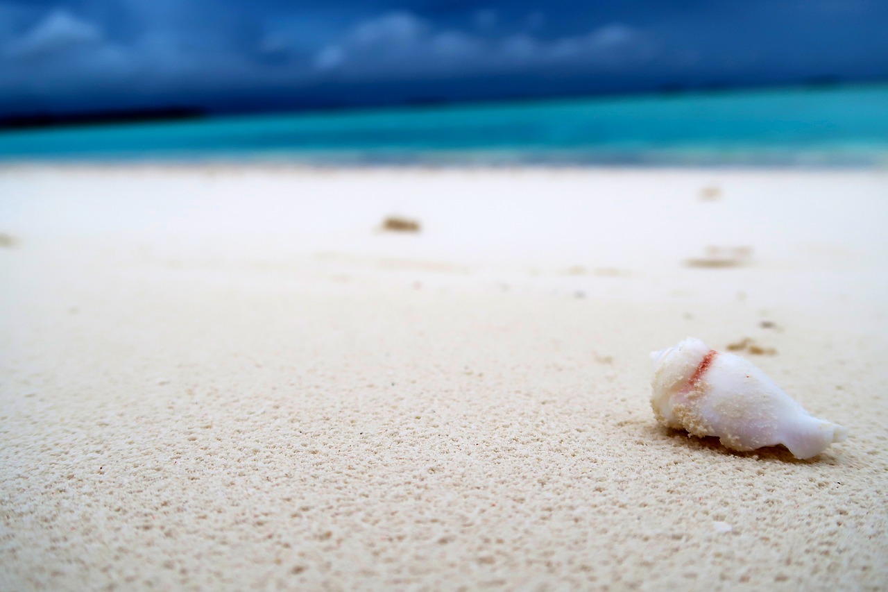 Image - summer blue nature ocean cloud