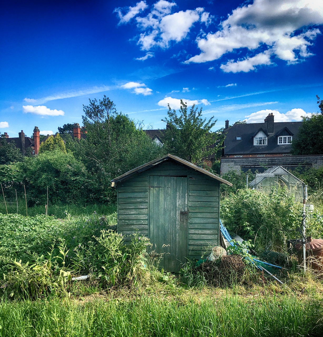 Image - shed garden gardening outdoor