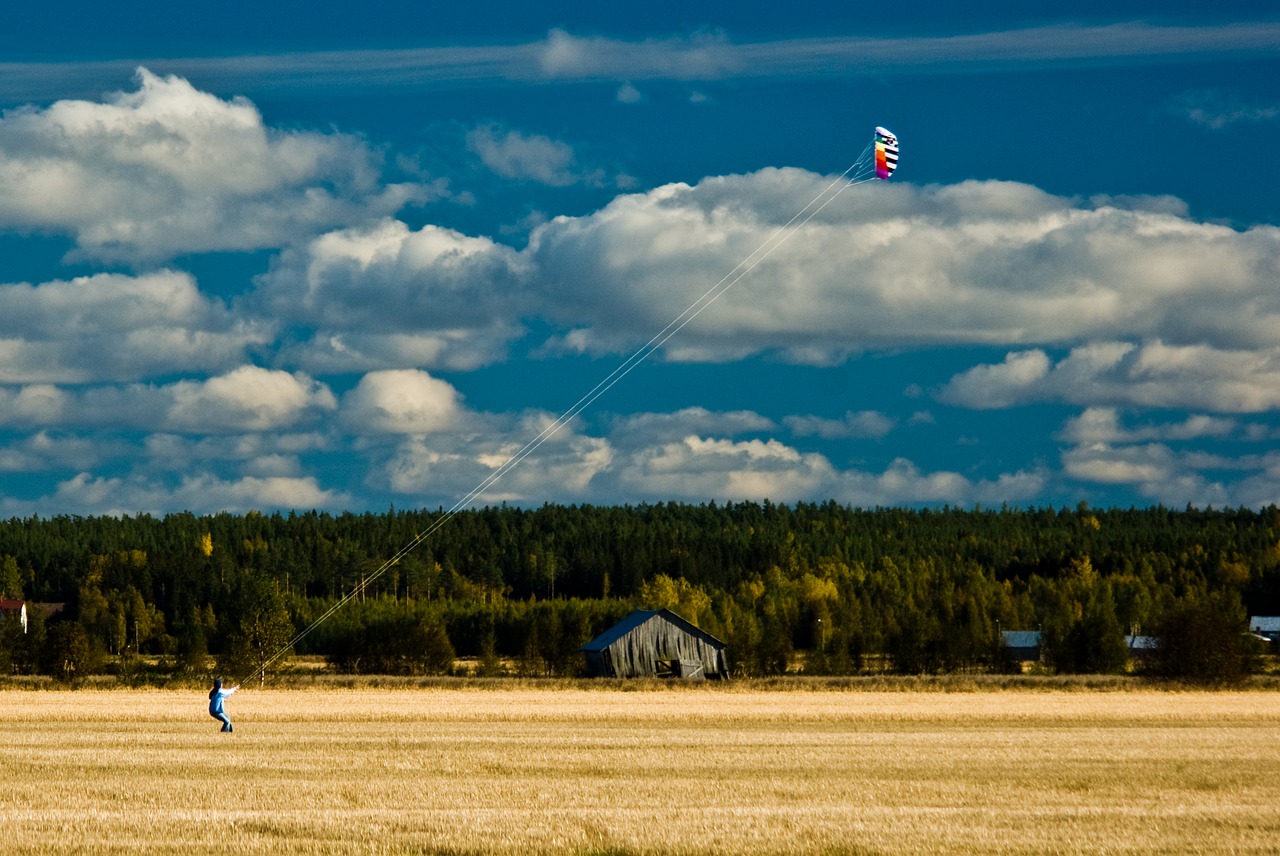 Image - kite field fly clouds autumn