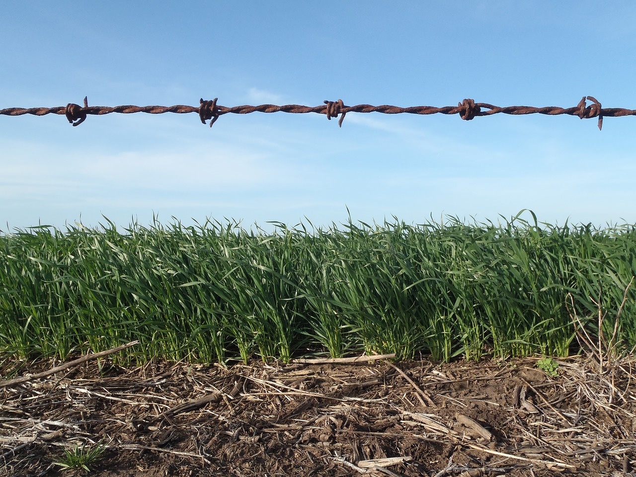 Image - field agro agriculture barley wire