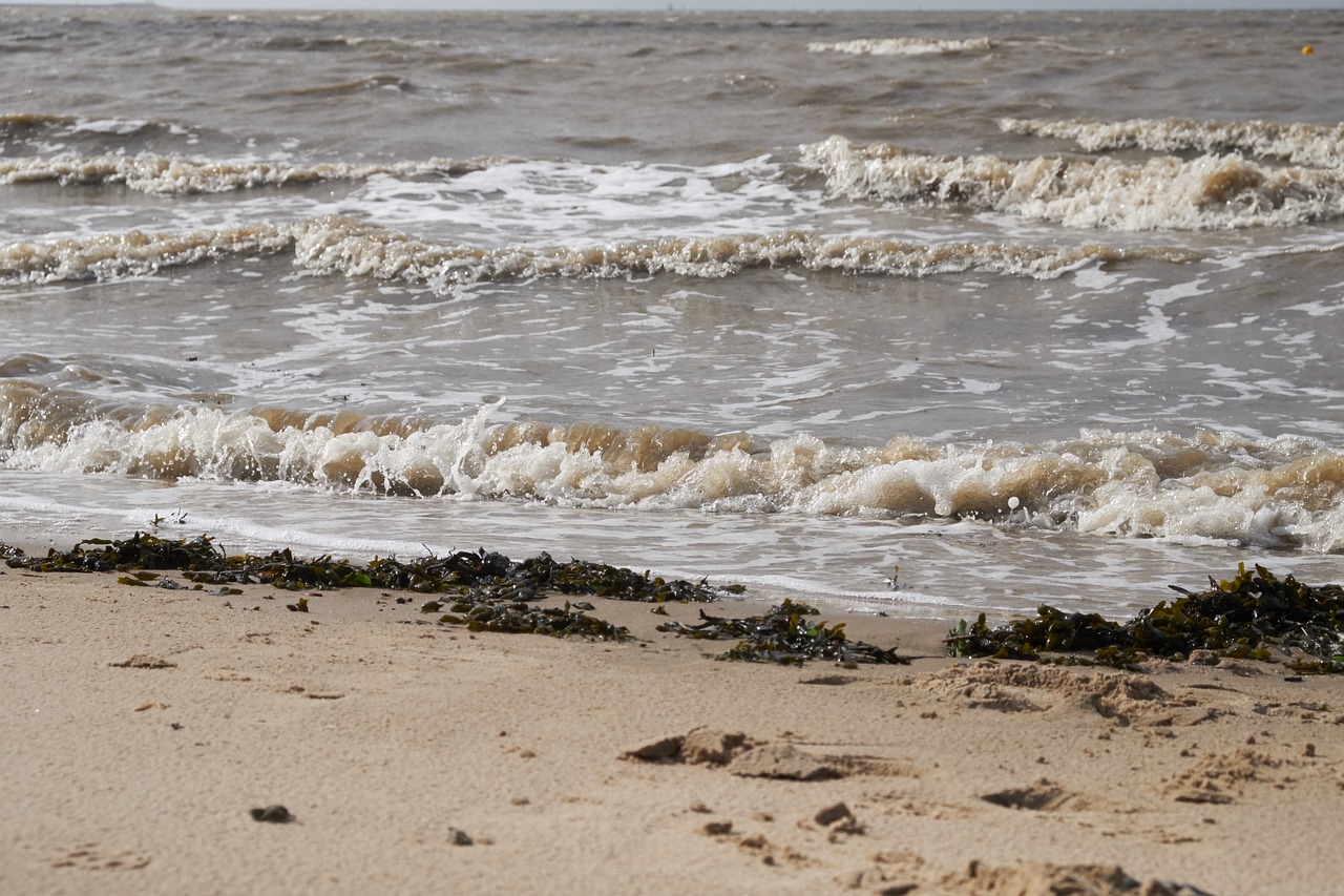 Image - water lake sea ocean north sea