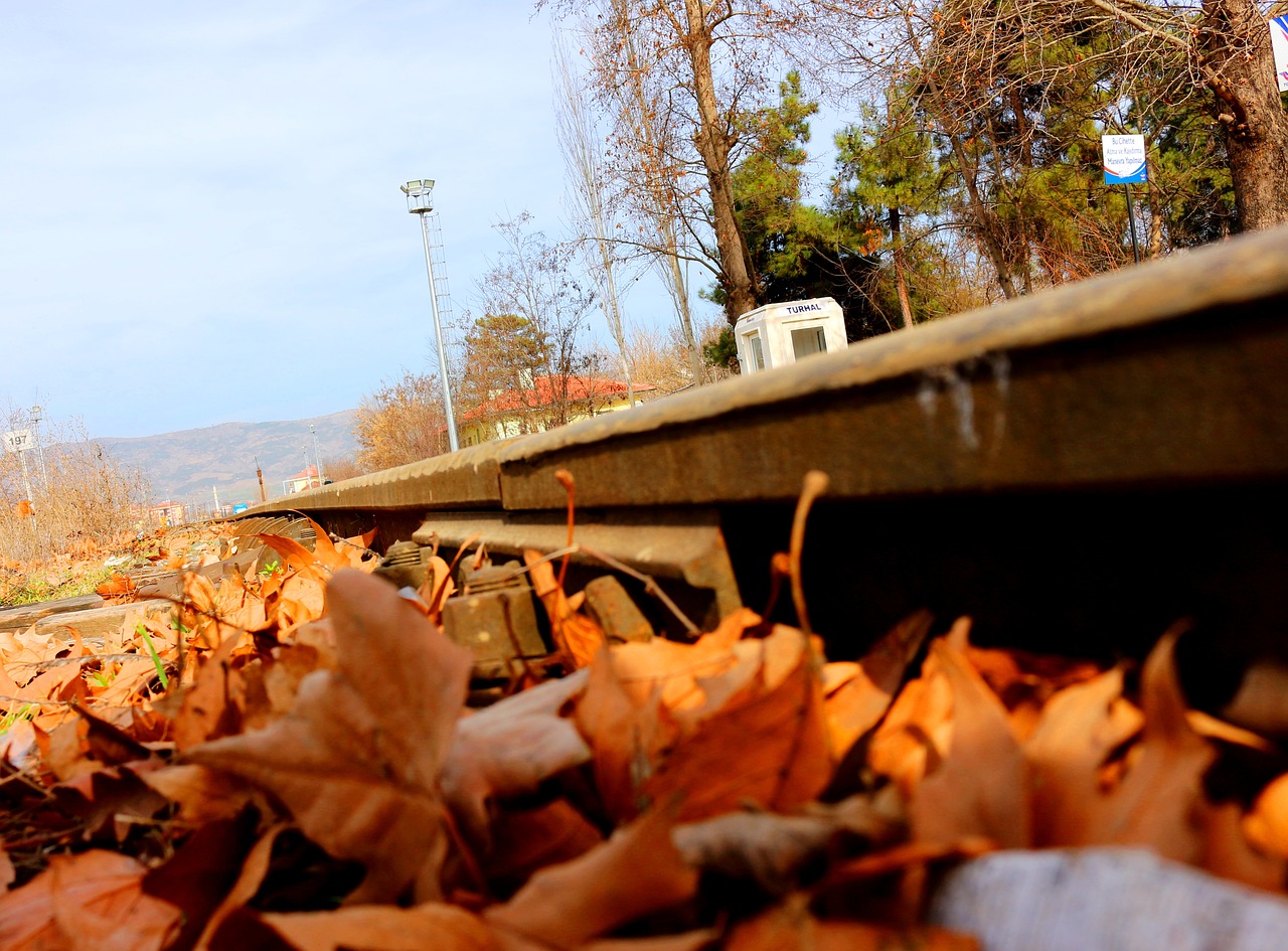 Image - leaves train train path rails