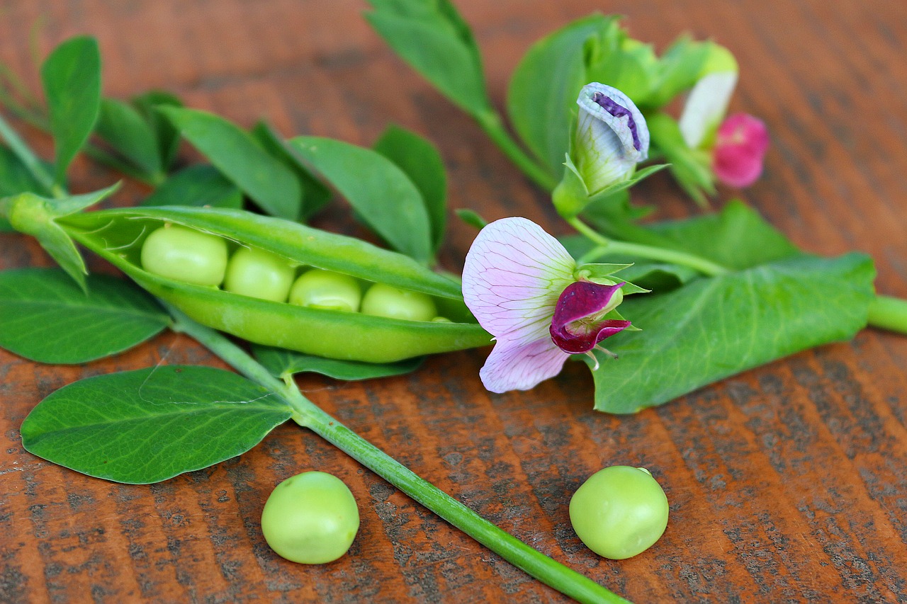 Image - pea pod green vegetables plant