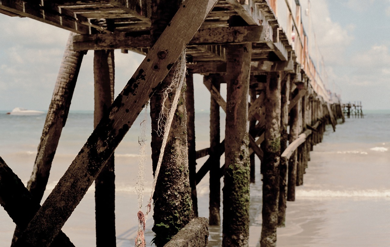 Image - pier sea ocean beach nature dock