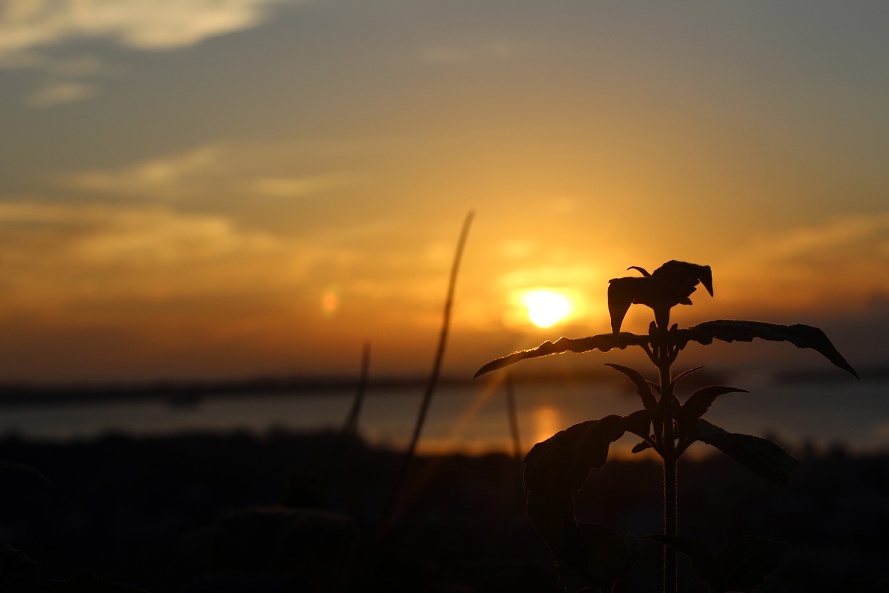 Image - kei islands sunset twilight