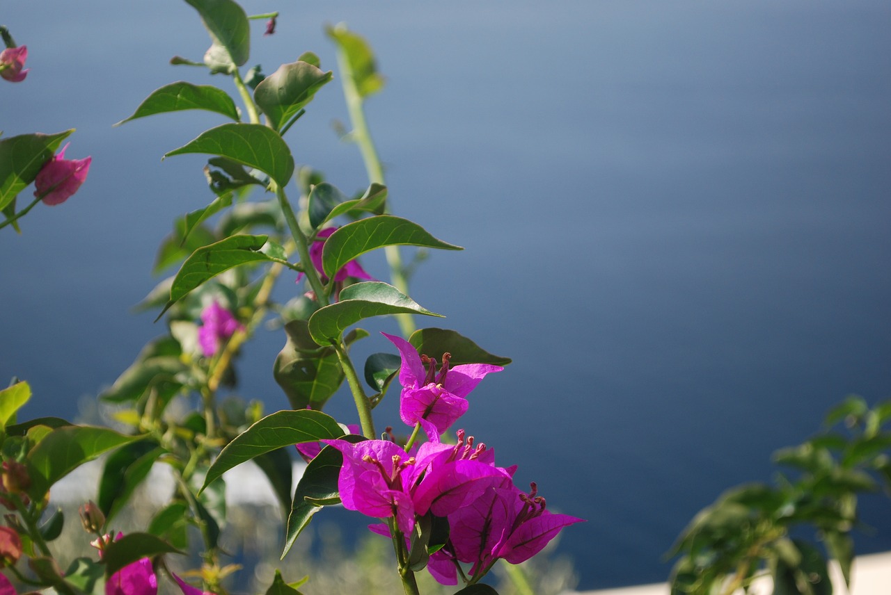 Image - positano mediterranean sea