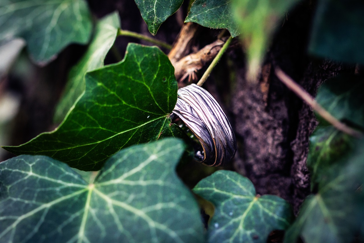 Image - ivy ring wedding