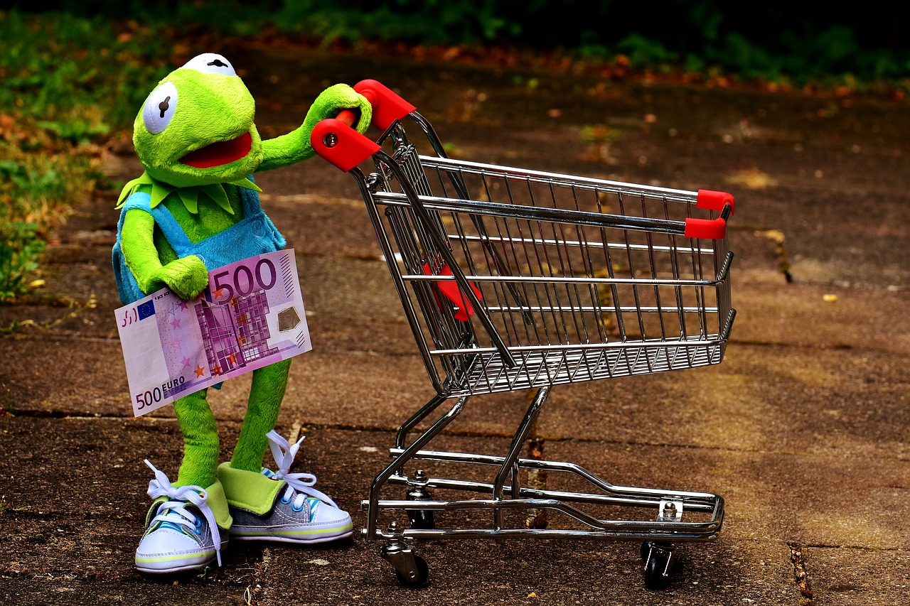 Image - kermit shopping cart shopping frog