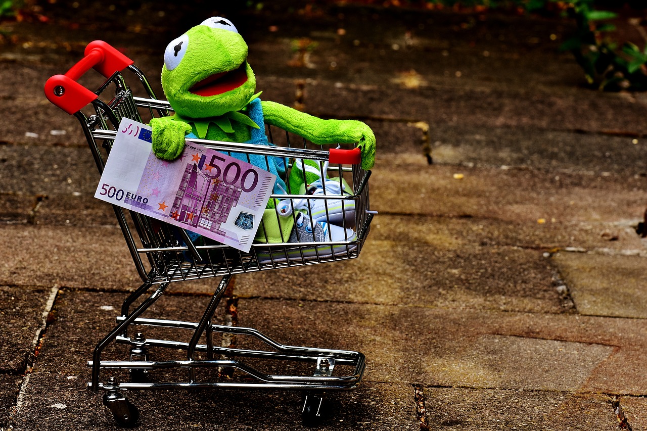 Image - kermit shopping cart shopping frog