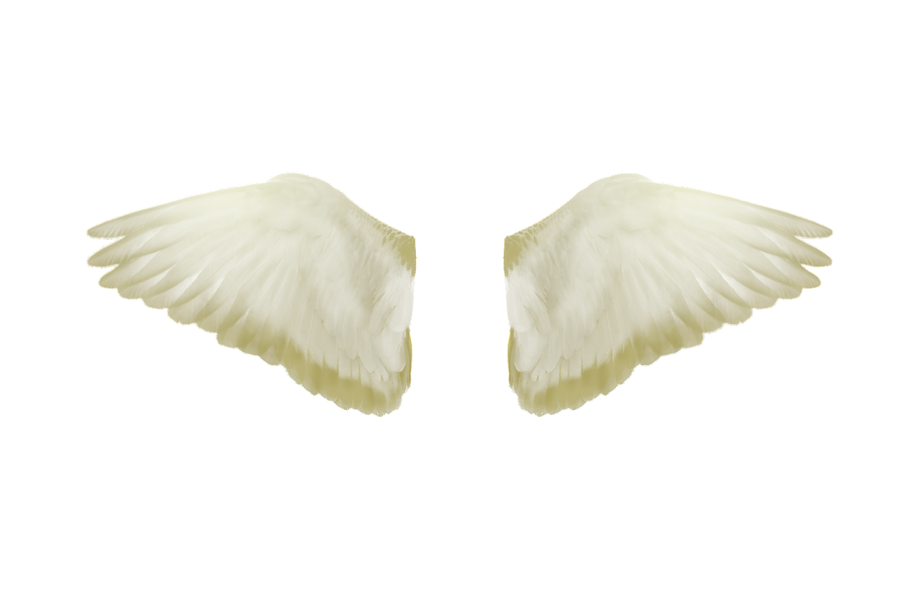 Image - wings flight freedom flying fly