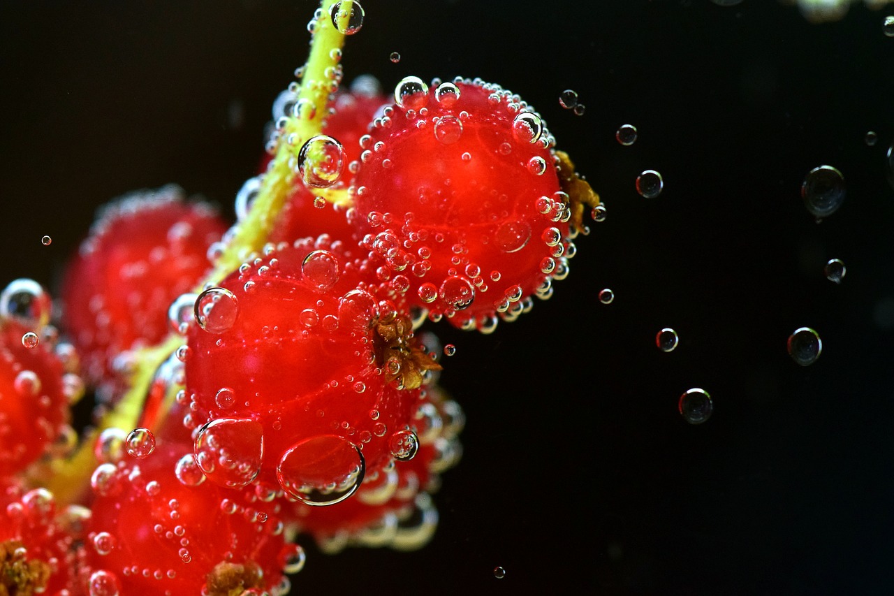 Image - currants red red currant berries