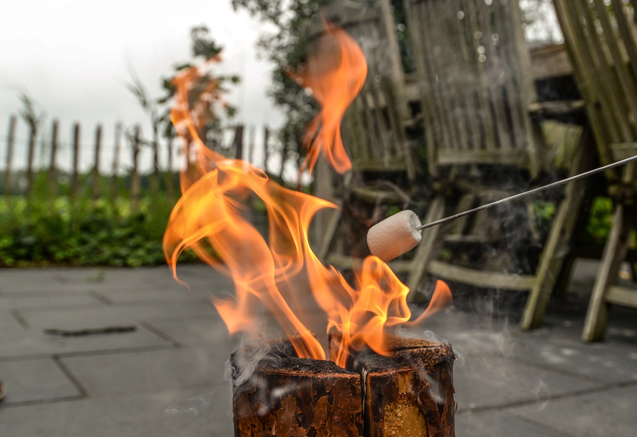 Image - marshmallow fire camp campfire