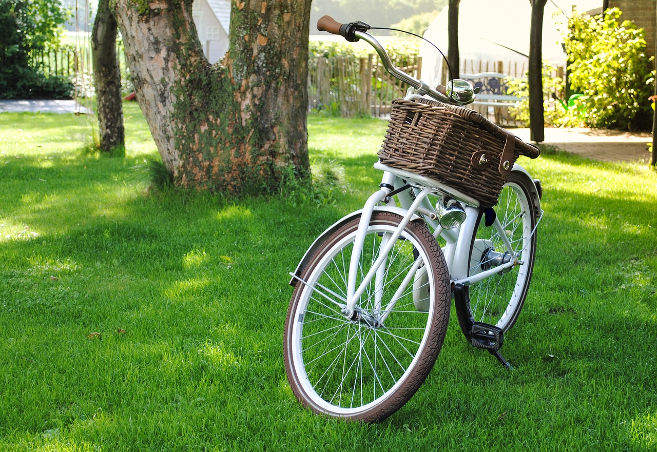 Image - bicycle basket transport bike