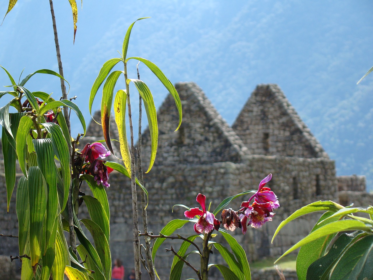 Image - machu picchu peru inca tourism